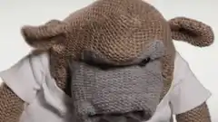 Knitted monkey puppet says no then cheers