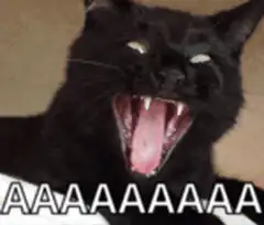 Black cat screaming AAAAAAAA