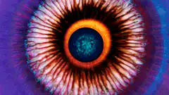 Colorful eye iris close-up