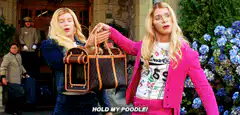 Hold My Poodle!