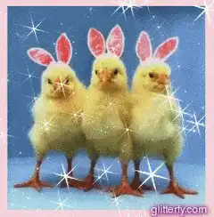 Three yellow chicks with bunny ears