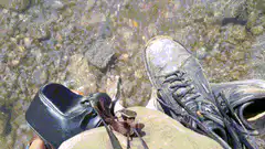 Person fishing with a fly rod by a stream