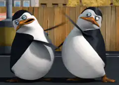Skipper and Kowalski from Madagascar