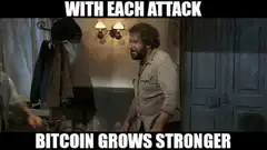 With Each Attack Bitcoin Grows Stronger