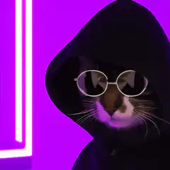 Cool cat in hoodie and glasses