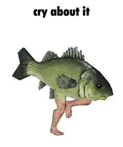Fish with human legs running