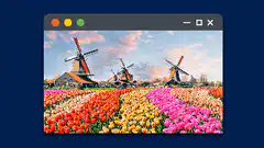 Tulip field with windmills in window