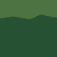 International Yoga Day animation