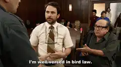 Charlie Day I'm well-versed in bird law