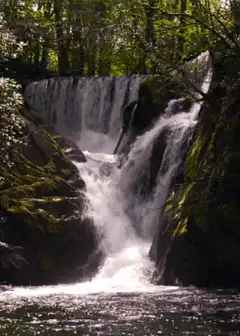 waterfall in forest