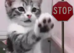 kitten paw stop sign