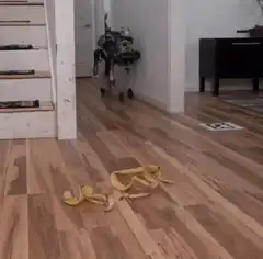 Boston Dynamics robot slips on banana peel
