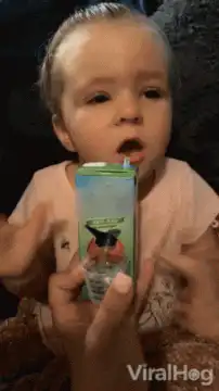 Toddler drinking juice box