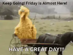 Big Bird in Horse Carriage Friday