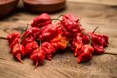pile of red habanero peppers