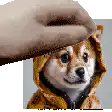 Hand squishing doge face