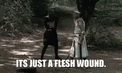Its Just a Flesh Wound