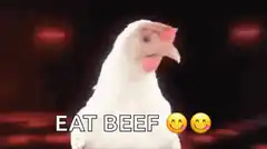 White chicken eating beef