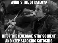 What's the strategy? Drop the leverage, stay solvent and keep stacking satoshis