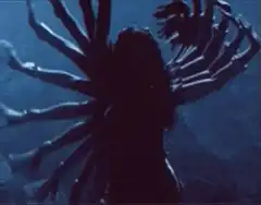 Spider Woman silhouette