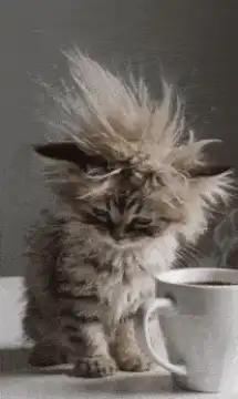 Static kitten next to coffee cup