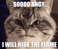 Angry Cat Risking The Flame