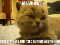 Cat closes eyes during webfishing