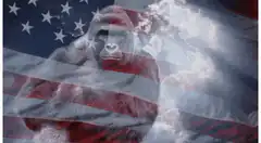 gorilla thinking with american flag