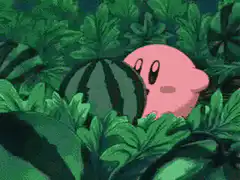 Kirby eats a watermelon