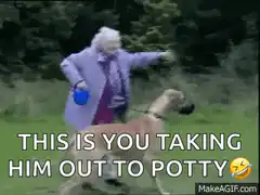 Old lady dog poops in face