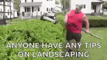 Man with lawnmower on hedge