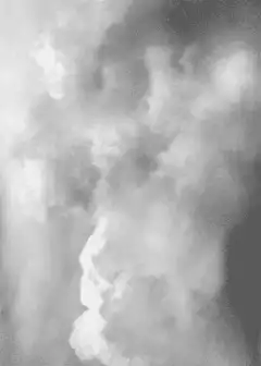 Grainy black and white smoke rising