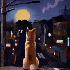 cat looking at moon