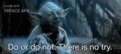 Yoda Do or Do Not GIF