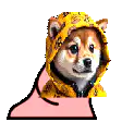 Doge in yellow hoodie changing colors