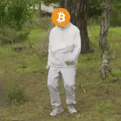 Bitcoin head person dancing in woods