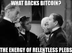 What Backs Bitcoin The Energy Of Relentless Plebs