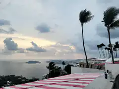 Palm trees blowing in the wind