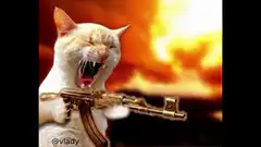 Cat with gun yelling GM