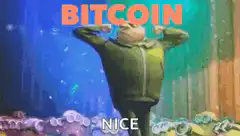 Bitcoin Nice Guy