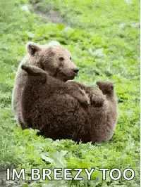 bear farting in grass