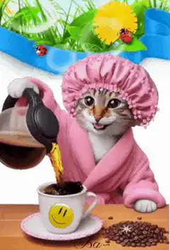 cat in pink robe pouring coffee
