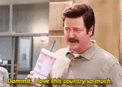 Ron Swanson loves this country