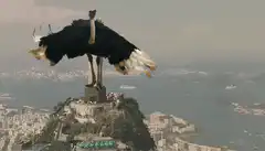 Ostrich on Christ the Redeemer