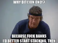 Why Bitcoin Only Because Fuck Banks