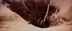 Sandworm emerging from sand
