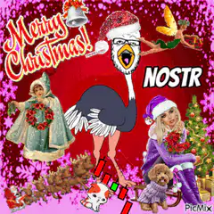 Merry Christmas Nostr Ostrich Collage