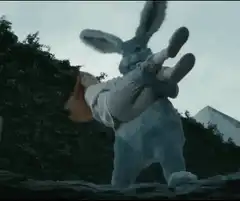 Giant rabbit throws woman