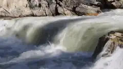 Salmon jumping up waterfall