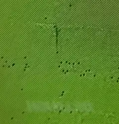 Green screen glitch smiley face